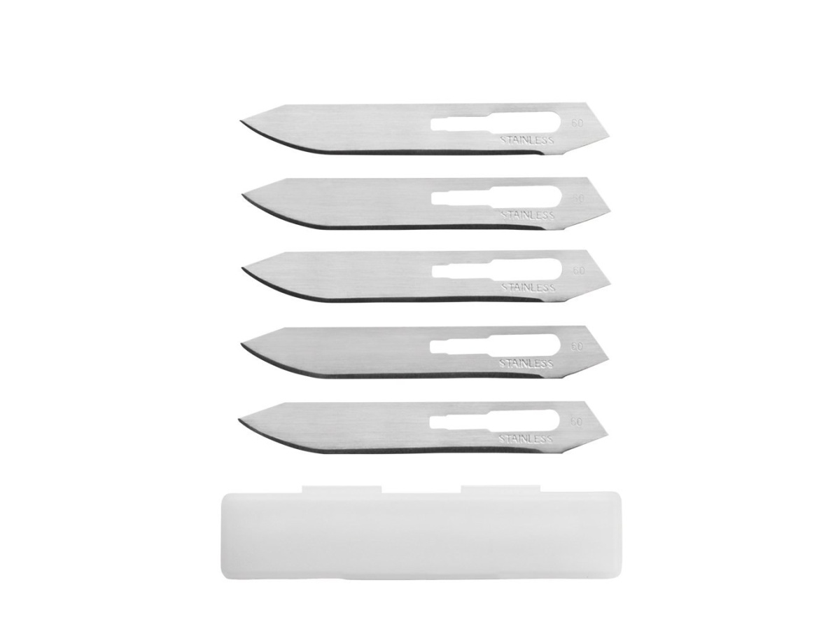 Noz-Gerber-Sharkbelly-FE_446_1200.jpg e3aa22ec444254bb81924fbc8f15556e